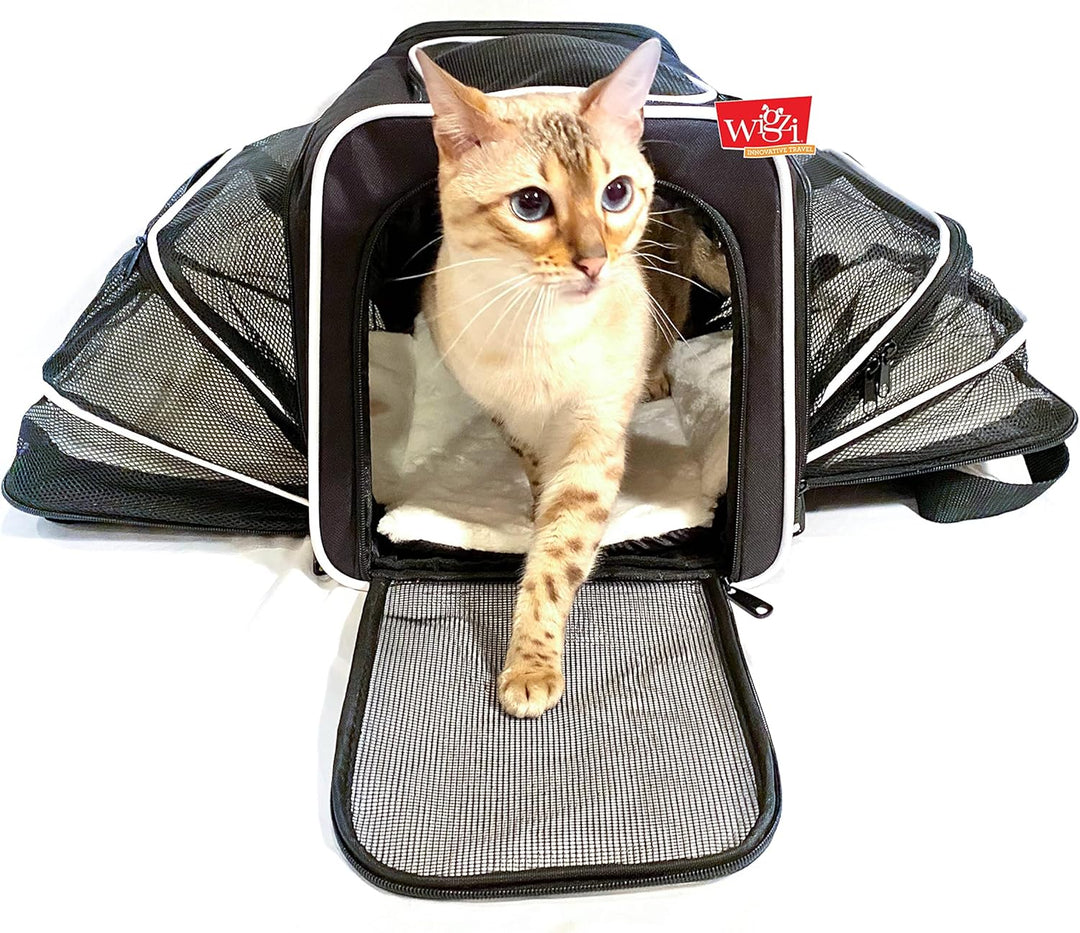 Wigzi Expandable Pet Travel Carrier for Cats, Small Dogs and Pets Up to 20lbs with Rechargeable Interior LED Light - TSA Airline Approved, Expandable Soft Sided Walls, 4-Doors and Removable Padding