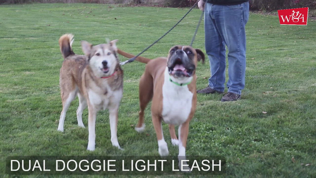 Dual Doggie Rope with 2 LEDs