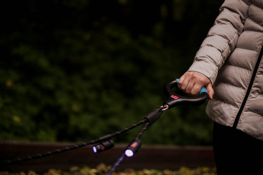 person walking dogs at night with double dog leash with lights