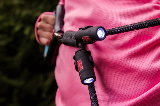 person holding rope dual dog leash with lights