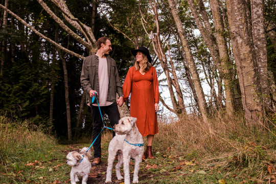 couple holding hands and walking two dogs with retractable double dog leash coupler