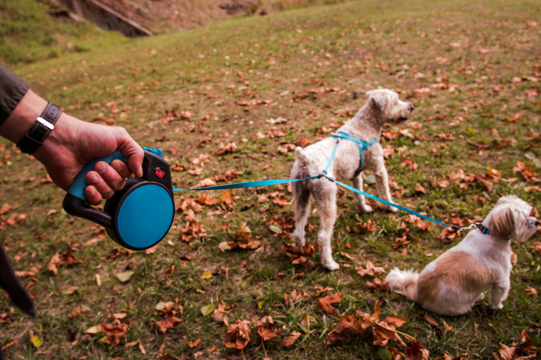 gel handle retractable coupler double dog leash with brake buttons